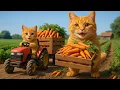 Download Lagu Mama Cat Trims Fur on the Farm and Makes Tiger Hat For Kittens At Home🐾🎩🐯