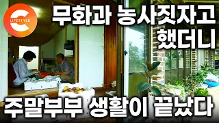 6년 주말부부가 끝났다. “무화과 농사 짓자” 했더니 아내가 내려왔다. 주말부부 생활 끝내고 농부가 된 부부의 땅끝마을 생활ㅣ#한국기행