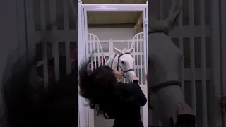 تسرج بنات الفكر والنادرات تعن تمر الاصايل وتتعدى وسباقه راشد الماجد انا الي خلقت الشعر 