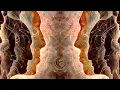 Download Lagu Liquid Bloom \u0026 PERE - Afar (Remixed) [Folktronica | Psychill | Global Bass]