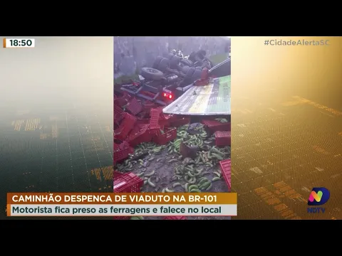Caminhão despenca de viaduto na BR-101, motorista fica preso as ferragens e falece no local