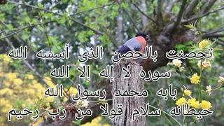 تحصنت بالحصن الذى أسسه الله 