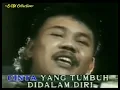 Download Lagu Arti Kehidupan - Doel Sumbang - Karaoke