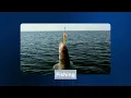 Reel Legends Summer Intro