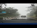 Tree falls on windshield amid Tropical Storm Lala