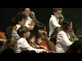 Misirlou - Cello-Orchester Baden-Württemberg