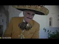 LAS MAÑANITAS - Vicente Fernández (LETRA) estas son las mañanitas