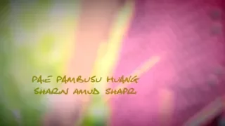 paie pambusu huang official music video sharin amud shapri