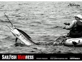 SailFish Madness 2 - Best action of the event