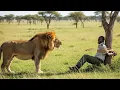 Download Lagu Lion Finds Ranger Tied in the Savannah, What Happened Next Shocked Everyone!