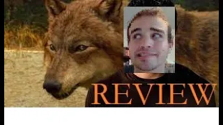 Royal Hub Review Caninstinct