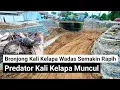 NGERI‼️ predator kali kelapa wadas muncul cari mangsa, pemasangan bronjong semakin tersusun rapih