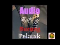 Download Lagu Suara Kicau Burung PELATUK WOODPACKER Durasi Panjang