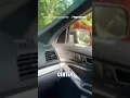 WATCH Horse takes police on WILD roadside chase