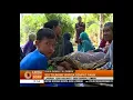 Download Lagu Korban Gempa di Desa Gangga Lombok Tidur Beralaskan Daun Kering di Pengungsian - 6 Agustus 2018