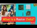What is a Raster Data Raster Data in GIS