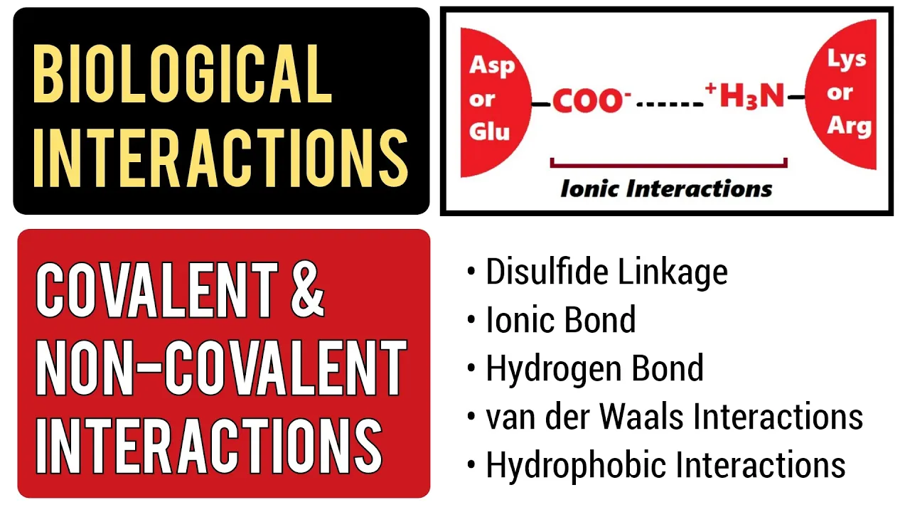 Biological Interactions | Covalent and Non-covalent Interactions
