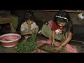 Download Lagu Myvillage official videos EP 1717 || Cooking and eating wild green vegetables curry