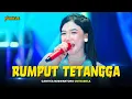 Lagu RUMPUT TETANGGA - Cantika Nuswantoro OM NABIELA