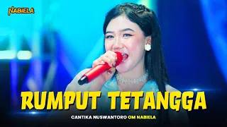 rumput tetangga cantika nuswantoro om nabiela
