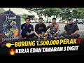 Lagu MURAI MAYOR ‼️ BURUNG MEWAH KERJA EDAN CUMA 2 AJUAN JURI KOPDAR KMM KROCO MANIA TEAM