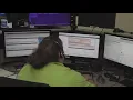 York County Commissioners honor 911 dispatchers this National Public Safety Telecommunicators Week