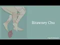 Bitawney Chu - The Dreamcatchers