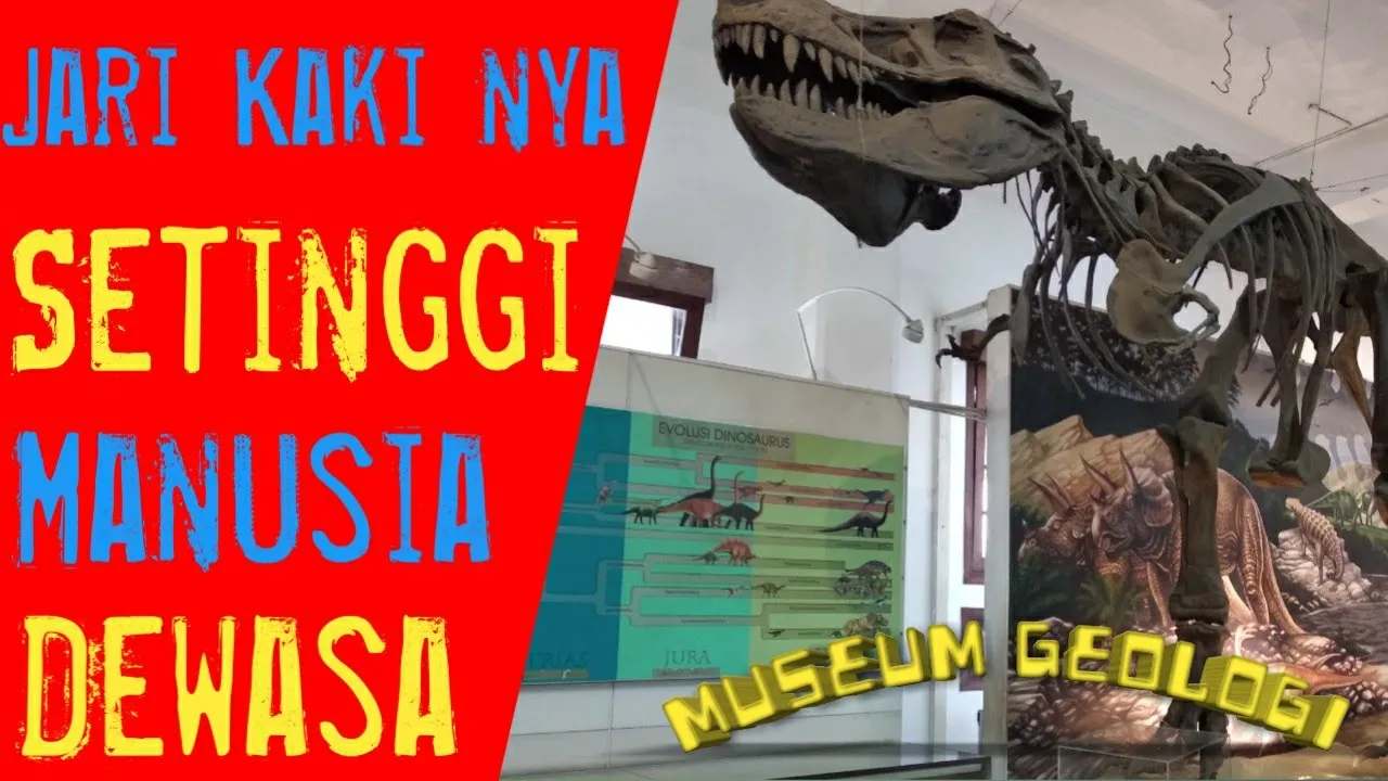 Virtual Day & Night at The Museum: Museum Geologi 92 Tahun Mengabdi untuk Indonesia