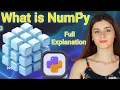NumPy Explained The Secret Engine Behind AI ML Python SPEED