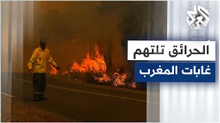 شاهد الحرائق تلتهم غابات المغرب 