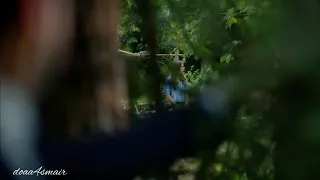 لا تقل لها عمري تركي 