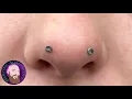The Whole Truth - Mantis Piercing