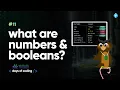 What are Numbers Booleans Tekie Byte