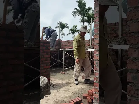 My brother tried to build a house as high as the top of the areca tree #shortvideo #construction