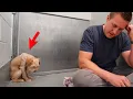 Scared Dog Completely Shut Down Until This Happens Adoption Updates