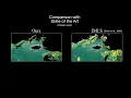 DEMO 3D Surface Reconstruction from Voxel-based Lidar Data