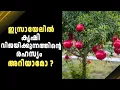 Download Lagu ലോകത്തെ വിസ്മയിപ്പിച്ച ഇസ്രയേലിൻ്റെ  കാർഷിക വിപ്ലവം
