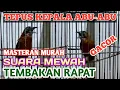 Download Lagu TEPUS KEPALA ABU-ABU GACOR