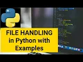 Python File IO Basics How to read write append in Python File Handling Tutorial Absolute Beginners