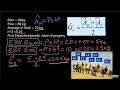 Estimated Breeding Value and Expected Genetic Value explained