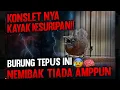 Download Lagu TEPUS KEPALA ABU KONSLETNYA KETERLALUAN‼️ SAMPAI NGGAK BISA BERHENTI NEMBAK 😳💥