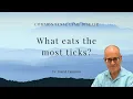 What eats the most ticks