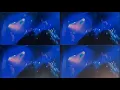 Pelle Miljoona Oy Live in Joensuu 2019