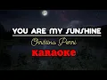 Download Lagu YOU ARE MY SUNSHINE - Christina Perri #karaoke