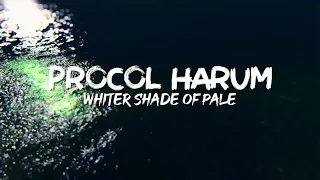 Download Procol Harum - A Whiter Shade Of Pale (LYRICS)🎵 MP3