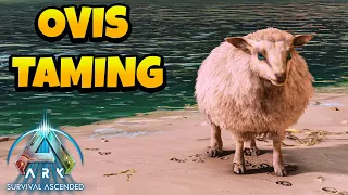 How to Tame Ovis in ARK Survival Ascended