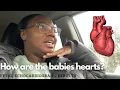FETAL ECHOCARIOGRAM RESULTS