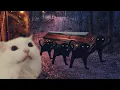 Download Lagu Astronomia - Coffin Dance Meme - Cat Cover #2
