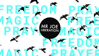 mr joe liberation