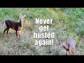 Download Lagu This ONE THING is MORE IMPORTANT than SCENT when hunting deer! (Hear me out!)